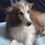 Donna Spiegel's profile image