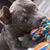 Houston MadeBullyz's profile image