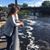 Missy Soholt Iaquinto's profile image