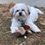 Amy Lynn Powley's profile image