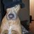 Aimee Desiree's profile image