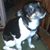 Jerri Dyke's profile image