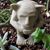 Barbara Bruknis Scalzitti's profile image