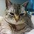 Judy LeVasseur's profile image