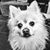 Beth Calabrese's profile image