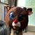 Angie Lanter's profile image