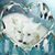 Rose Vietro's profile image