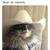 Deb Hardie's profile image