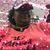 Deborah Young's profile image