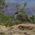 Carola Werner Schmidt's profile image