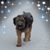 Marge Kilkelly's profile image