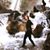 Amy Haworth's profile image