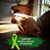 Wendy Strouse Parol's profile image