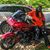 Randy L Tisdale's profile image