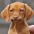 Susan McElroy's profile image
