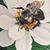 Elisabeth Staro's profile image