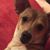 Adrian Ruscetta Campbell's profile image