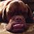 Tom Watson's profile image