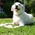 Wendy Williams Kalinowski's profile image