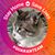 John R. Bice's profile image