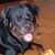 Yann Druon's profile image