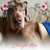 Karen Yarbrough's profile image