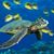Zipporah Wright's profile image