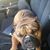Bill Anello's profile image