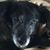 Susan Rynders's profile image