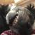Linda Sonnen's profile image