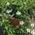 Margaret Bellows's profile image