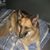 Debbie Foster's profile image