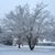 Janine Bcreations's profile image
