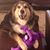 Vicki Tate's profile image
