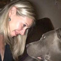 Holly Fraccaro's profile image