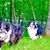 Barbara Harper King's profile image