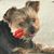 Teresa K Moss's profile image