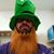Nathaniel Wayne Mcnabb's profile image