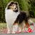Kelly Wilber's profile image
