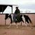 Roper Wilkinson's profile image