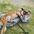 Jeanna Buker Terry Nelson's profile image