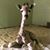 Michelle Smith's profile image
