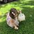Anna Roark LeJeune's profile image