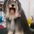 Ken Stroik's profile image