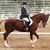 Anita Wagner Grace's profile image