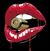 Roya Kay's profile image