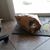 Vivian Madruga's profile image