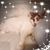 Lori Jenkins Rutsky's profile image