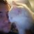 Jake Wagers's profile image