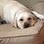 Kelly Ahern Zarkewicz's profile image